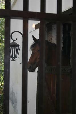Foto tras las rejas
