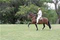 Horse riding